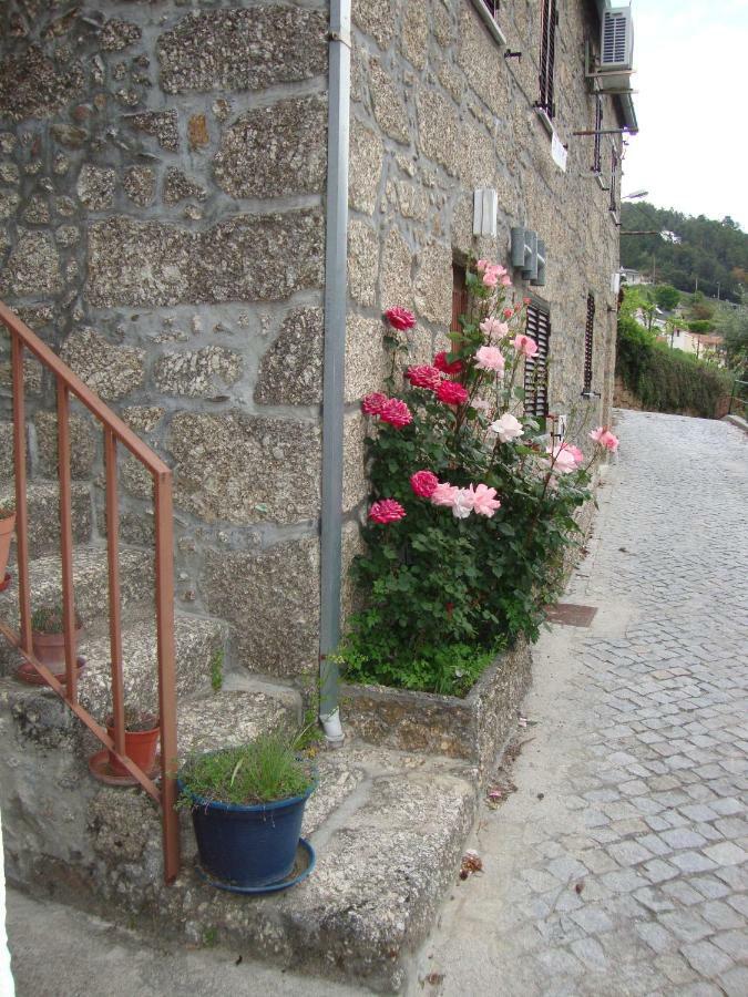 Casarao Do Alva Villa Penalva de Alva Bagian luar foto